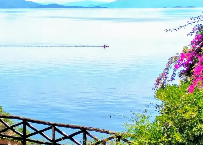 Apartment Pelion Seaside Luxury House Afissos